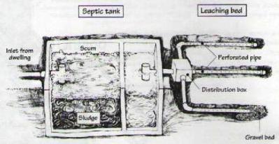 Septic System